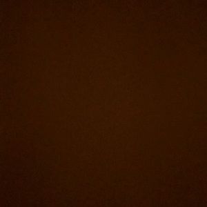 Meet your Posher, Cami